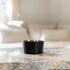 Iris 3-Wick Candle Pure Luxury Fragrance