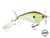 SpinMaster