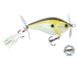 SpinMaster