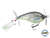 SpinMaster