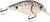 Primetyme SQ 2.0