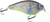 Primetyme SQ 2.0