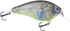 Primetyme SQ 2.0