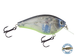 Primetyme SQ 2.0
