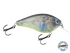 Primetyme SQ 2.0