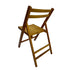 Folding Special Event Chair, Foldable Style (Set of 4)