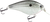 Primetyme SQ 2.0