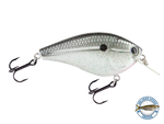 Primetyme SQ 2.0