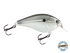 Primetyme SQ 2.0