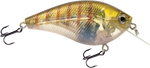 Primetyme SQ 2.0