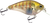 Primetyme SQ 2.0