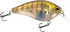 Primetyme SQ 2.0