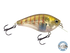 Primetyme SQ 2.0