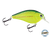 Primetyme SQ 2.0