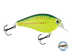 Primetyme SQ 2.0