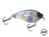 Primetyme SQ 2.0