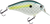 Primetyme CB 2.0