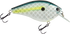 Primetyme CB 2.0