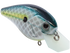 Primetyme CB 2.0