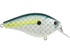 Primetyme CB 2.0