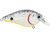 Primetyme CB 2.0