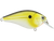 Primetyme CB 2.0