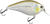 Primetyme CB 2.0