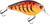 Primetyme CB 2.0
