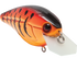 Primetyme CB 2.0