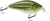Primetyme CB 1.5