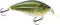 Primetyme CB 1.5