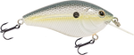 Primetyme CB 1.5