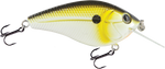 Primetyme CB 1.5