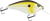 Primetyme CB 1.5