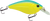 Primetyme CB 1.5