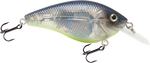 Primetyme CB 1.5