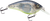 Primetyme CB 1.5
