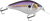 Primetyme CB 1.5