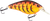 Primetyme CB 1.5