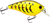 Primetyme CB 1.5