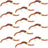 San Juan Bead Head Power Worm Brown V-Rib - 1 Dozen Hook Size 10