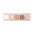 Mini Essentials 5 Shade Palette