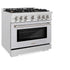 ZLINE 36" Select Gas Range Convection Gas Oven DuraSnow® Stainless Steel Brass Burners HGRS-BR-36