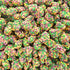 Nerds Gummy Clusters Candy – Rainbow – Bulk Value Bag