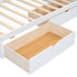 Daybed With 2 Storage Drawers, Storage Cabinets, USB Ports