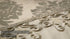 Ivory Damask Jacquard Comforter Ensemble with Embroidered Border - 9-Piece Set