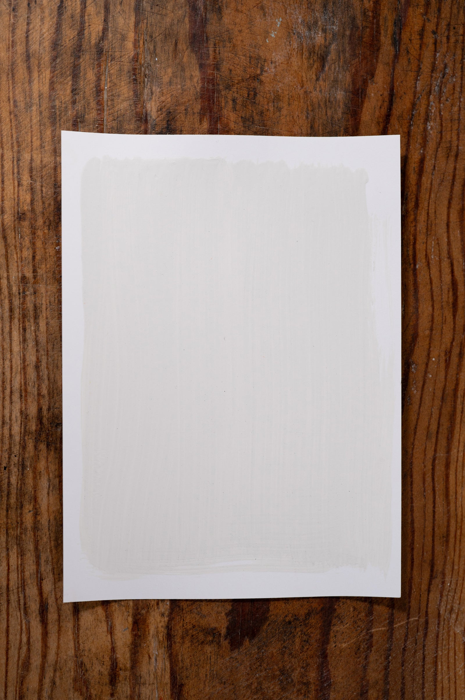 Sand in my Toes - Manor Borne Wall Paint