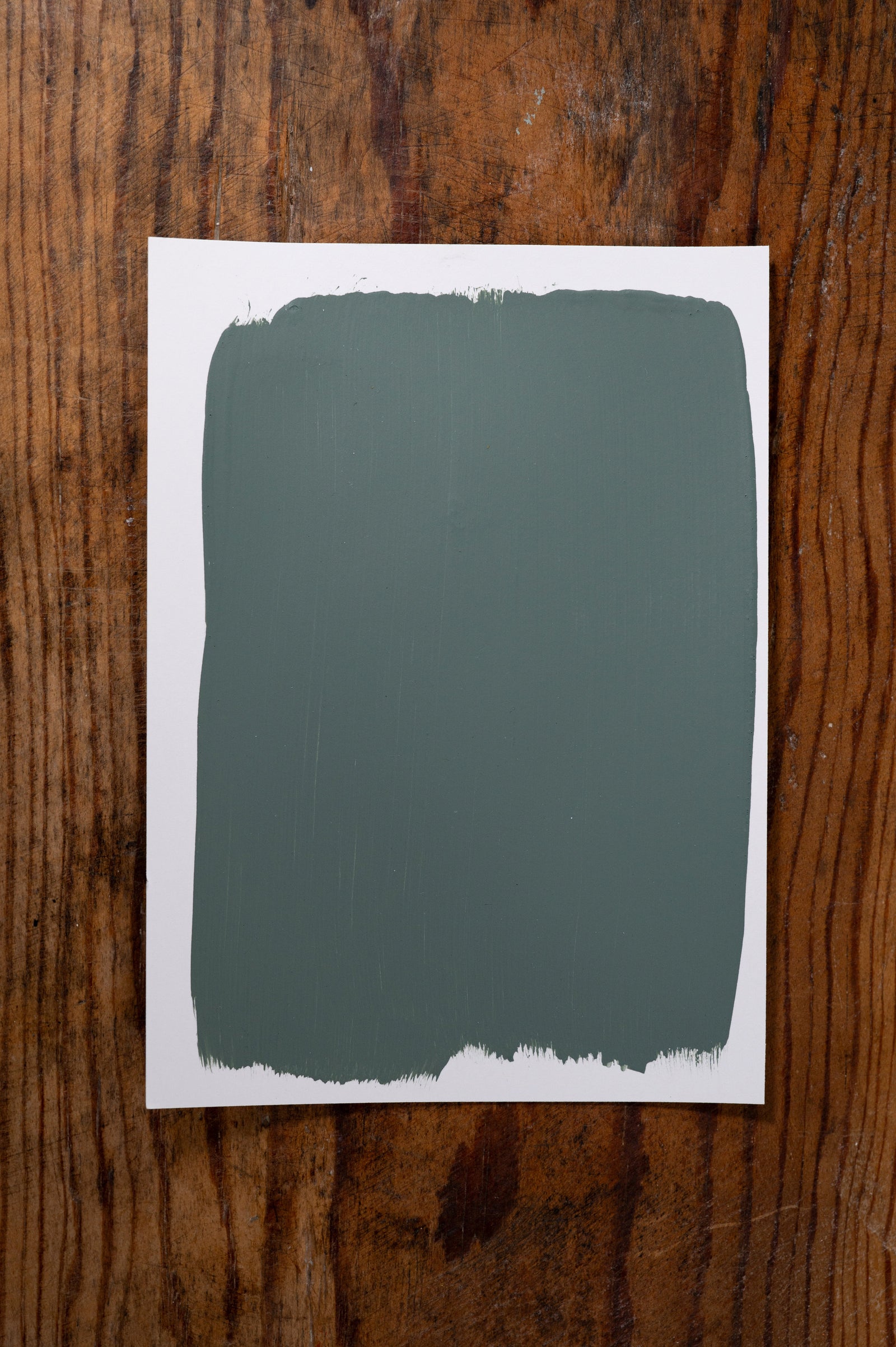 Babbling Brook  - Manor Borne Wall Paint