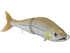 B Venom 6"