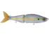 B Venom 6"